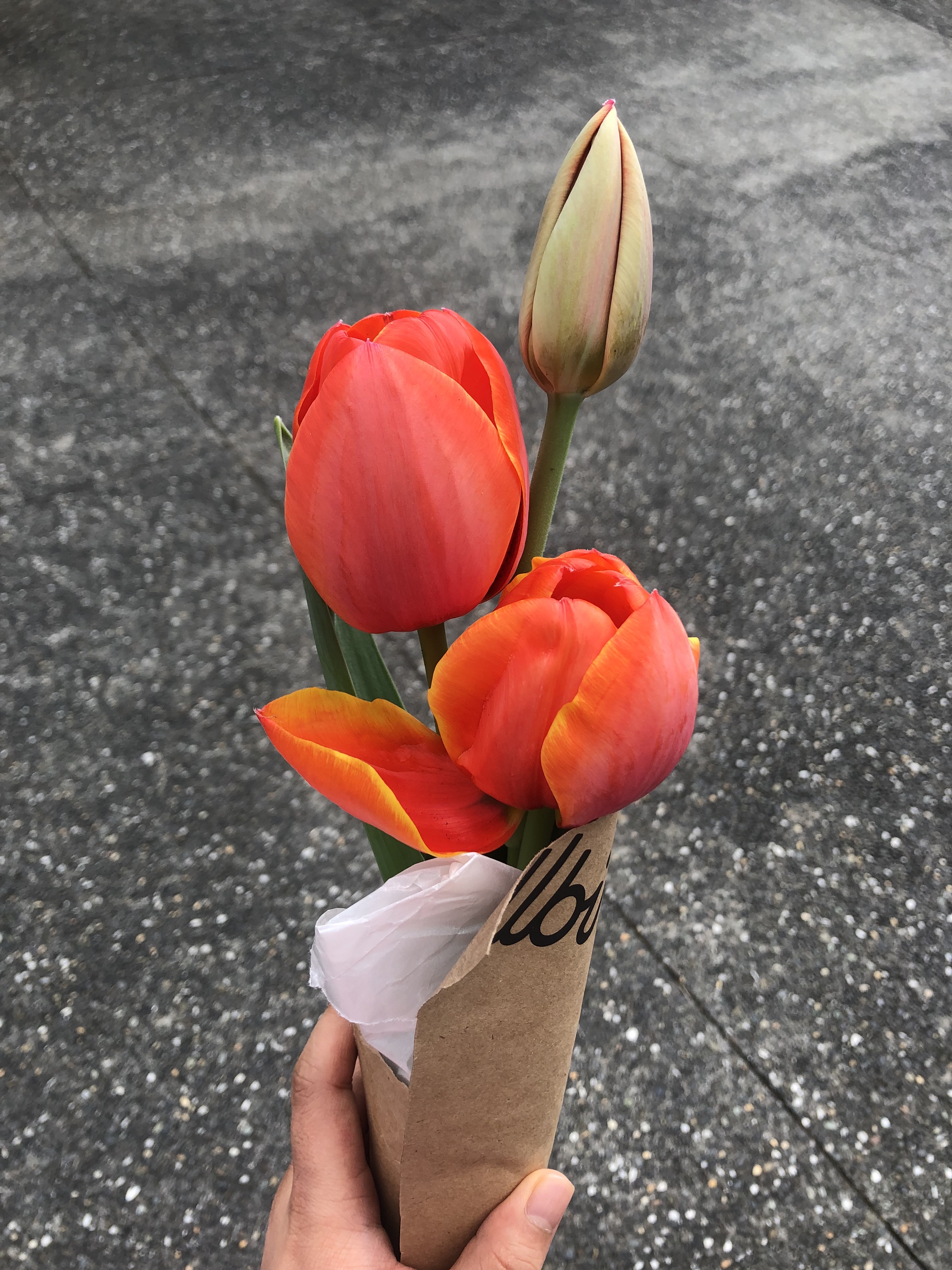 Red and orange tulips wrapped in sustainable packaging